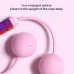 Professional Adjustable Fitness Exercise Bearing Heavy Anti Slip Skipping Sponge Weighted Cordless Jump Rope