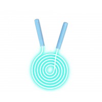 Hot Sale Fitness Fast Speed Jump Rope Colorful LED Light Up Glowing Skipping Rope