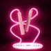 Hot Sale Fitness Fast Speed Jump Rope Colorful LED Light Up Glowing Skipping Rope