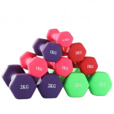 Custom LOGO hot selling cast iron dumbbell indoor women dedicated small rubber hexagonal dumbbell set